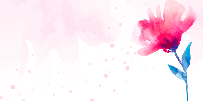 ilustração de uma rosa (flor) com fundo rosa claro